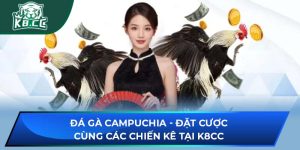 Đá Gà Campuchia - Đặt Cược Cùng Các Chiến Kê Tại K8CC