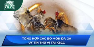 Đá Gà Uy Tín Thú Vị Tại K8CC: Sảnh Cược Minh Bạch, An Toàn